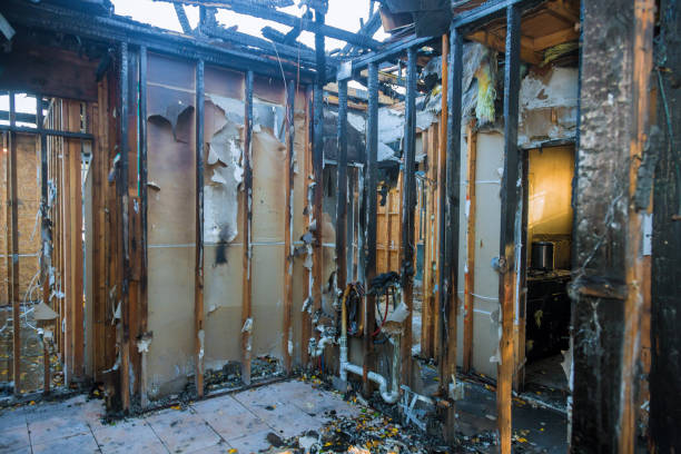 Professional Fire Damage Removal technician working in Atwood, KS